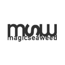 Magic Seaweed Voucher Codes