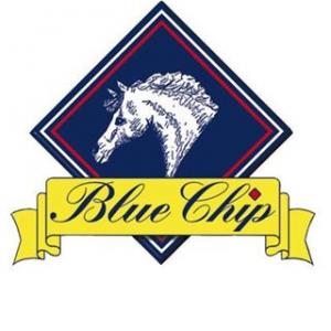 Blue Chip Feed