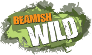 Beamish Wild Discount Codes & Deals