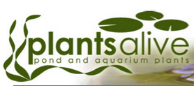 Plants Alive Discount Codes & Deals
