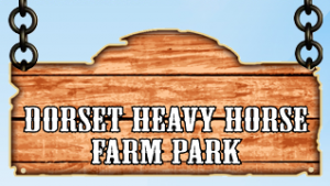 Dorset Heavy Horse Centre Discount Codes & Deals