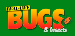 Real life Bugs