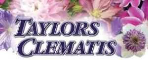 Taylors Clematis Discount Codes & Deals