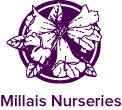Millais Nurseries Discount Codes & Deals