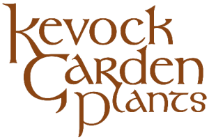 Kevock Garden