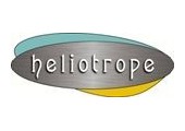 Heliotrope