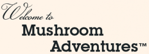 Mushroom Adventures