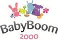 Baby Boom 2000