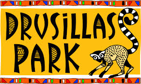 Drusillas Park