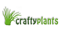 Crafty Plant