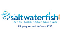 Saltwaterfish