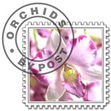 Orchids by Post