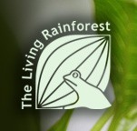 The Living Rainforest