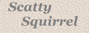 Scatty Squirrel