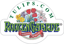 Tulips.com