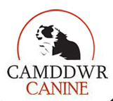 Camddwr Canine