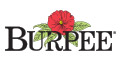 Burpee