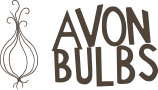 Avon Bulbs