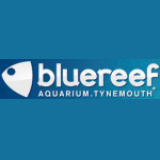 Blue Reef Aquarium Tynemouth