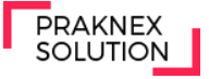 Praknex Solutions Private Limited