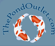 The Pond Outlet