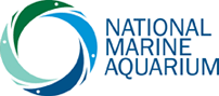 National Marine Aquarium Discount Codes & Deals