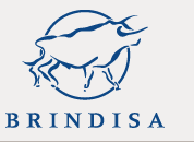 Brindisa Discount Codes & Deals