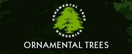 Ornamental Trees Discount Codes & Deals
