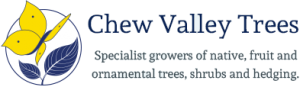 Chew Valley Trees Discount Codes & Deals