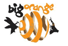 Big Orange Watersports Discount Codes & Deals