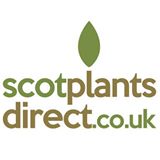 Scot Plants Direct Discount Codes & Deals