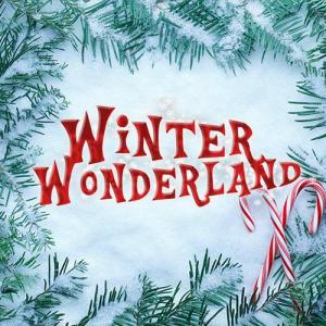 Winter Wonderland Manchester Discount Codes & Deals