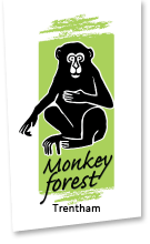 Trentham Monkey Forest Discount Codes & Deals