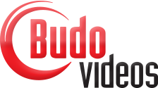 Budovideos Discount Codes & Deals