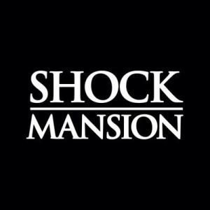 Shock Mansion Discount Codes & Deals