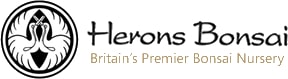 Herons Bonsai