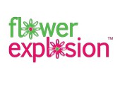 flower explosion