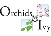 Orchids Ivy