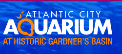 The Atlantic City Aquarium