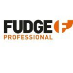 Fudge Professional